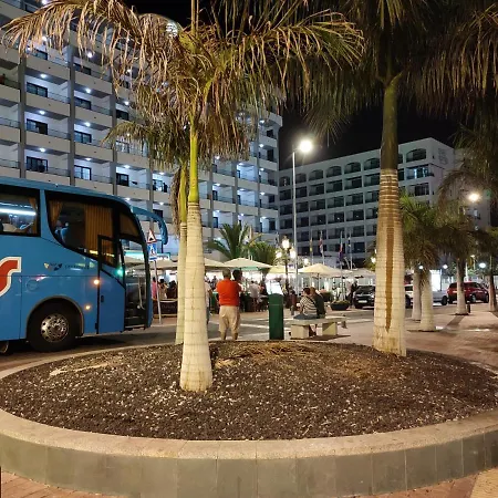 公寓 Vivienda Agaete Parque *